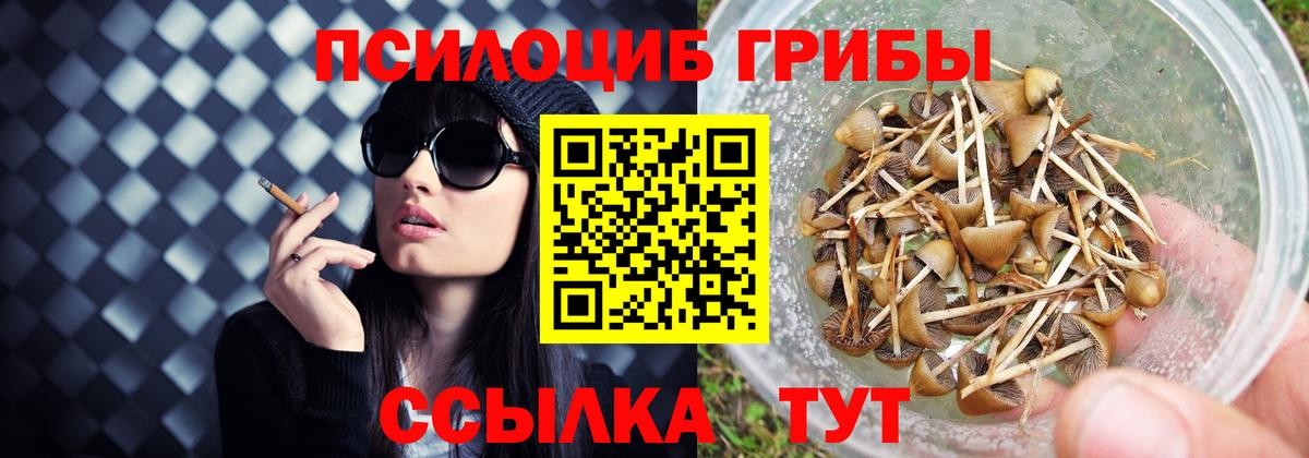 Псилоцибиновые грибы Psilocybe  Вход с VPN  Джанкой 